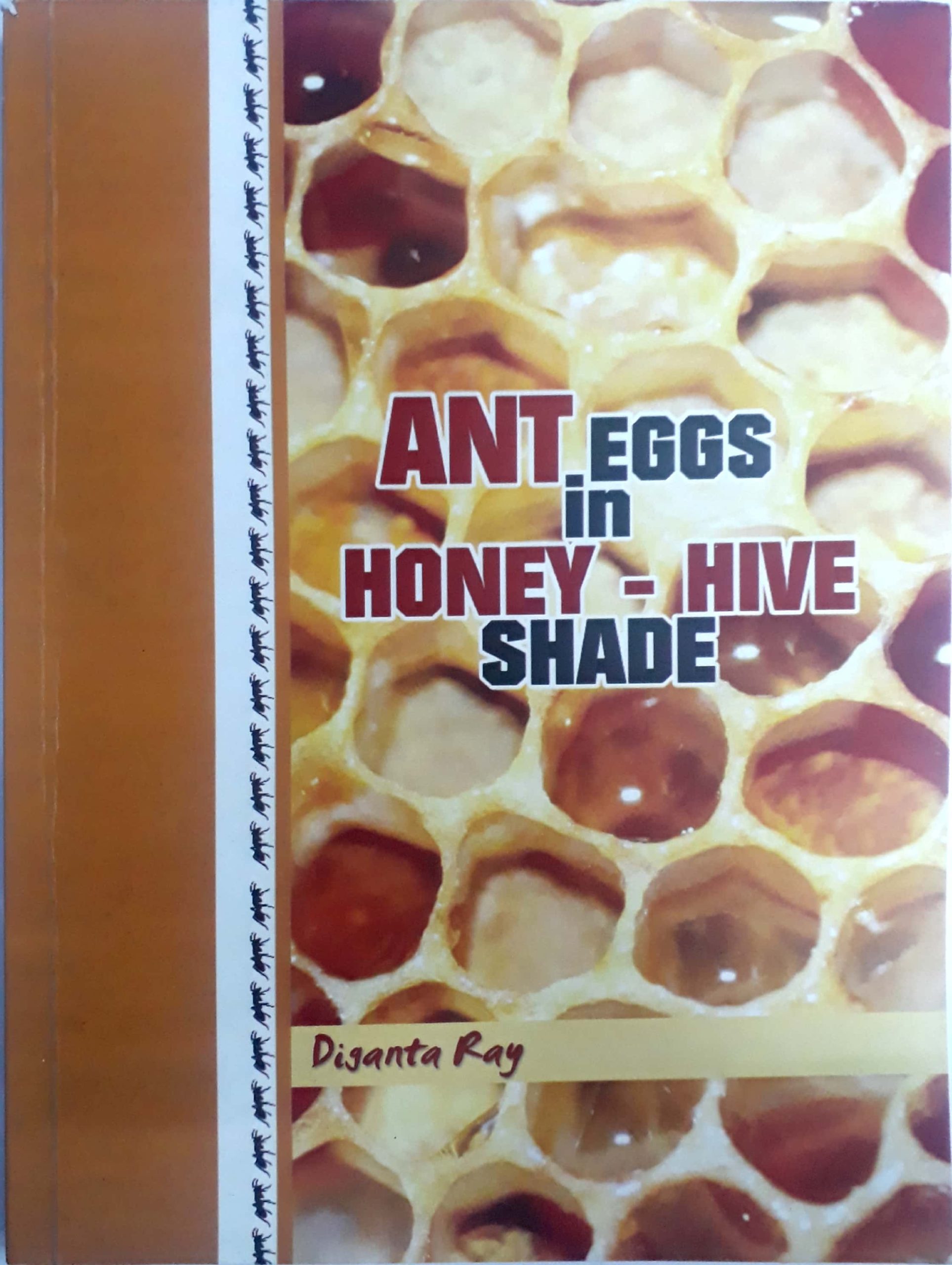 Ant Eggs in Honey-Hive Shade